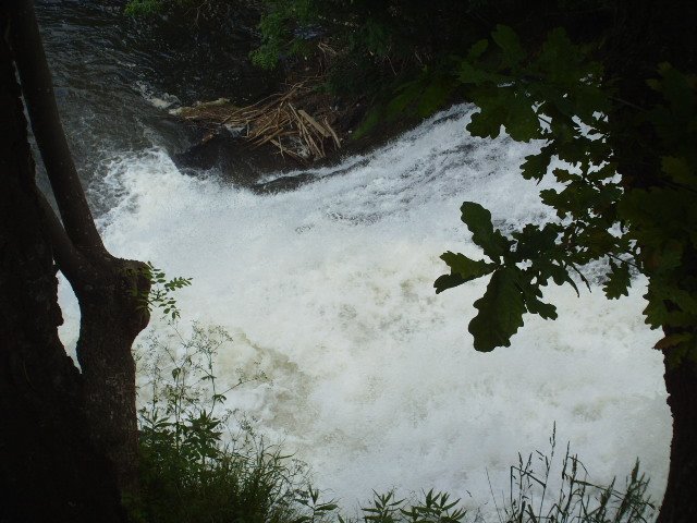 2014hwk 060.jpg